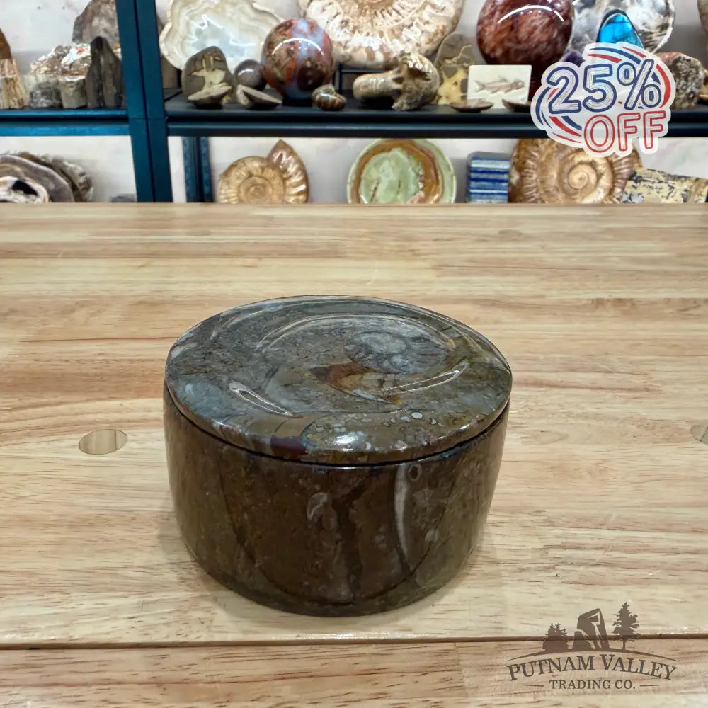Ammonite & Orthoceras Round Fossil Keepsake Box 4.3’’ - Fossil Trinket Box