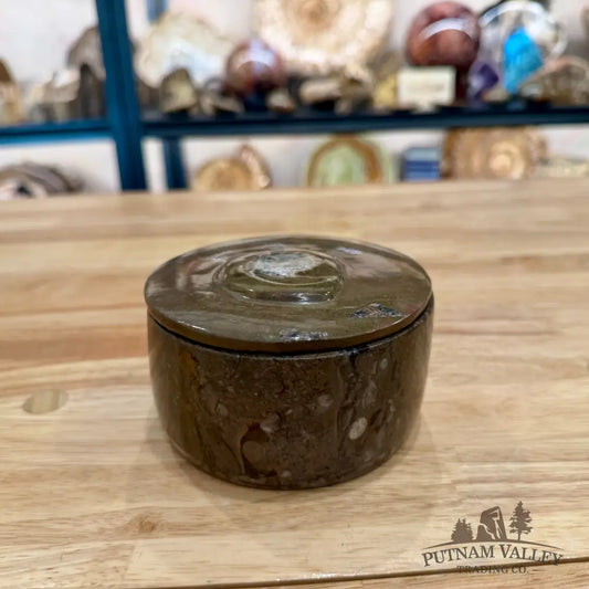 Ammonite & Orthoceras Round Fossil Keepsake Box 4.3’’ - Fossil Trinket Box
