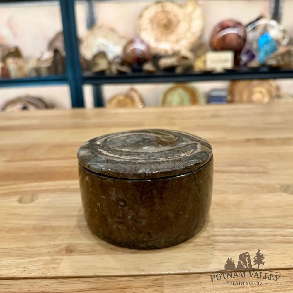 Ammonite & Orthoceras Round Fossil Keepsake Box 4.3’’ - Fossil Trinket Box