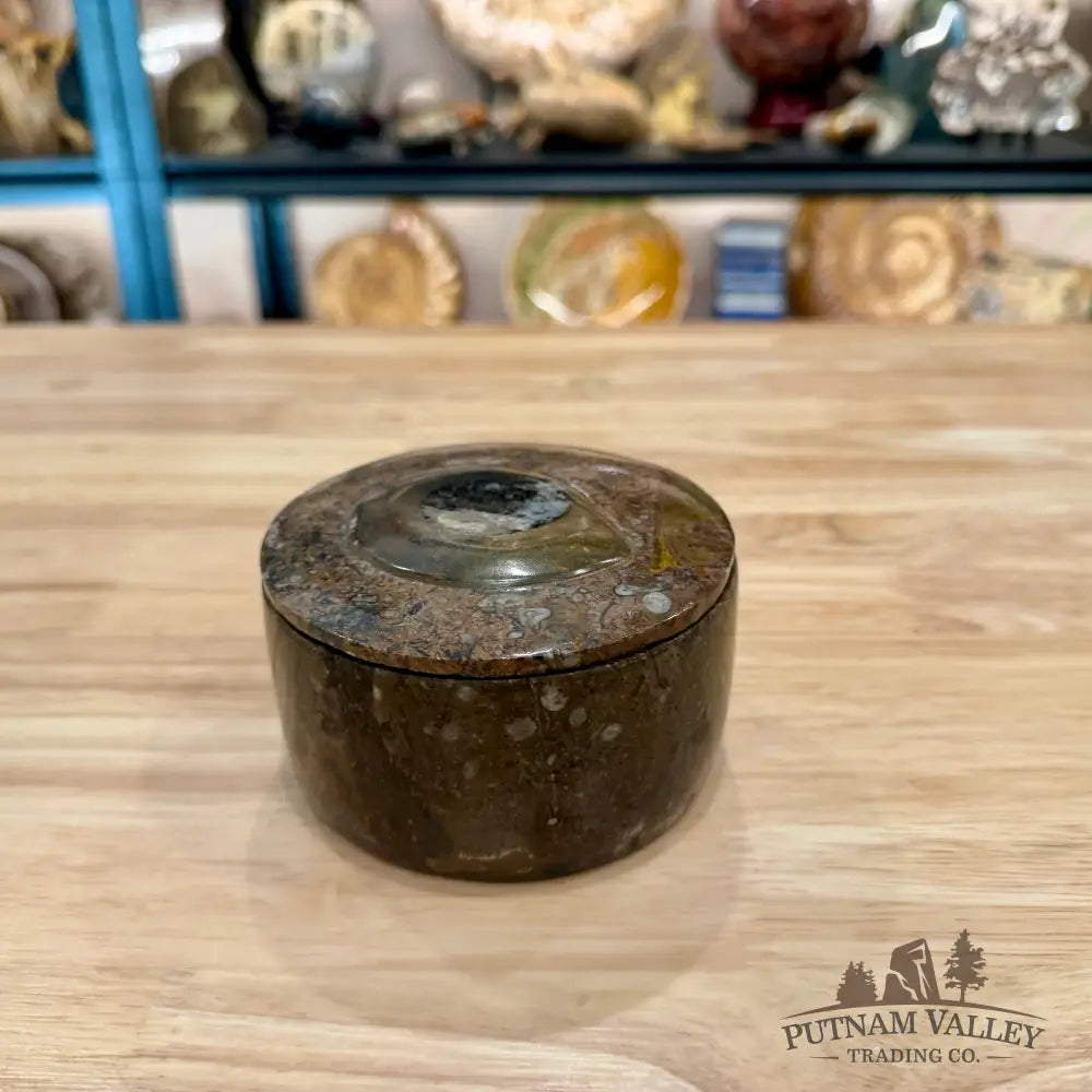 Ammonite & Orthoceras Round Fossil Keepsake Box 4.3’’ 4 - Fossil Trinket Box