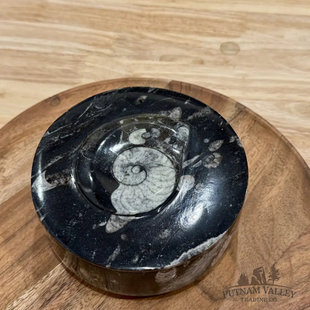 Ammonite & Orthoceras Round Fossil Keepsake Box 5.75’’ | Morocco - Fossil Trinket Box