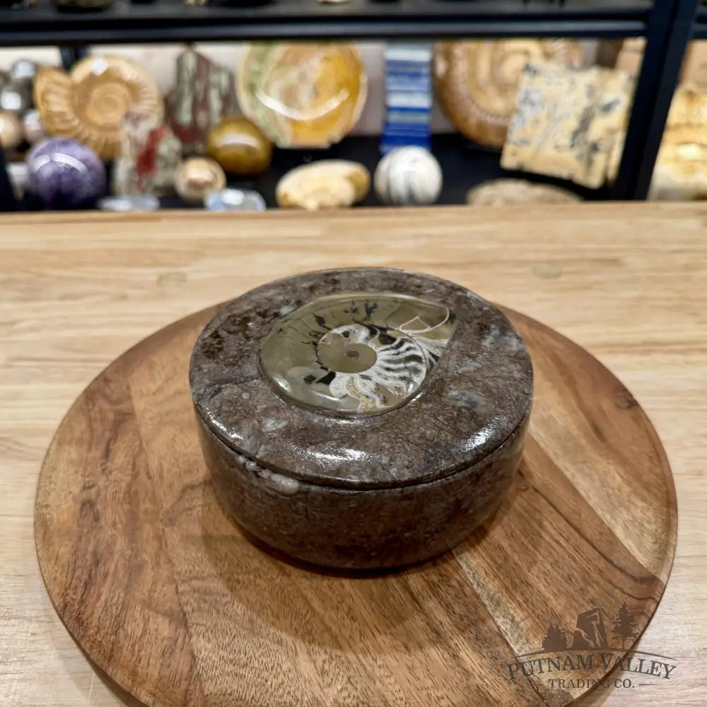 Ammonite & Orthoceras Round Fossil Keepsake Box 5.75’’ | Morocco - Fossil Trinket Box