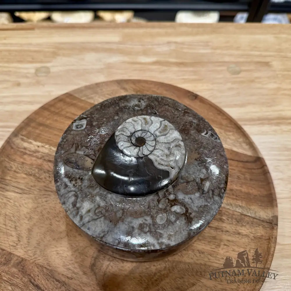 Ammonite & Orthoceras Round Fossil Keepsake Box 5.75’’ | Morocco - Fossil Trinket Box
