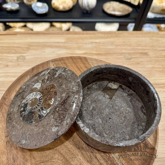 Ammonite & Orthoceras Round Fossil Keepsake Box 5.75’’ | Morocco - Fossil Trinket Box