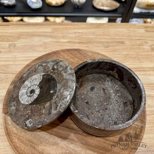 Ammonite & Orthoceras Round Fossil Keepsake Box 5.75’’ | Morocco - Fossil Trinket Box