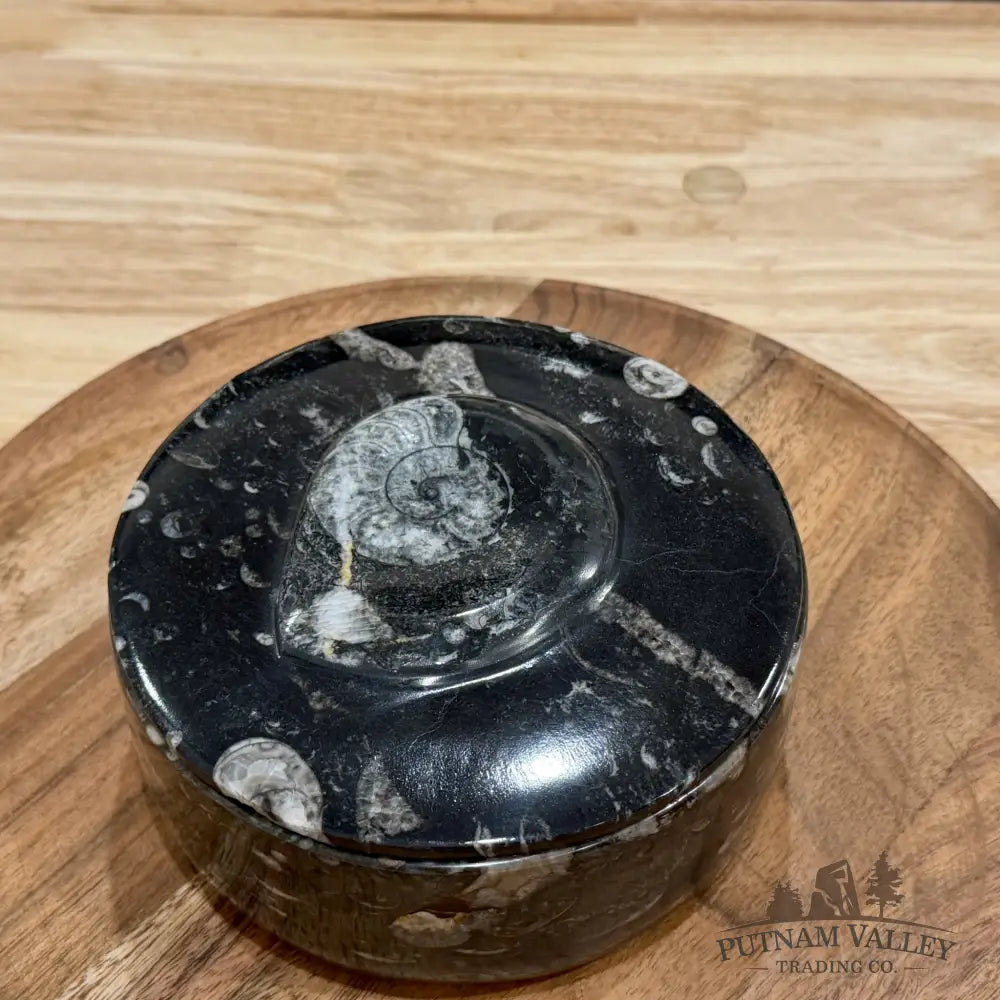 Ammonite & Orthoceras Round Fossil Keepsake Box 5.75’’ | Morocco - Fossil Trinket Box