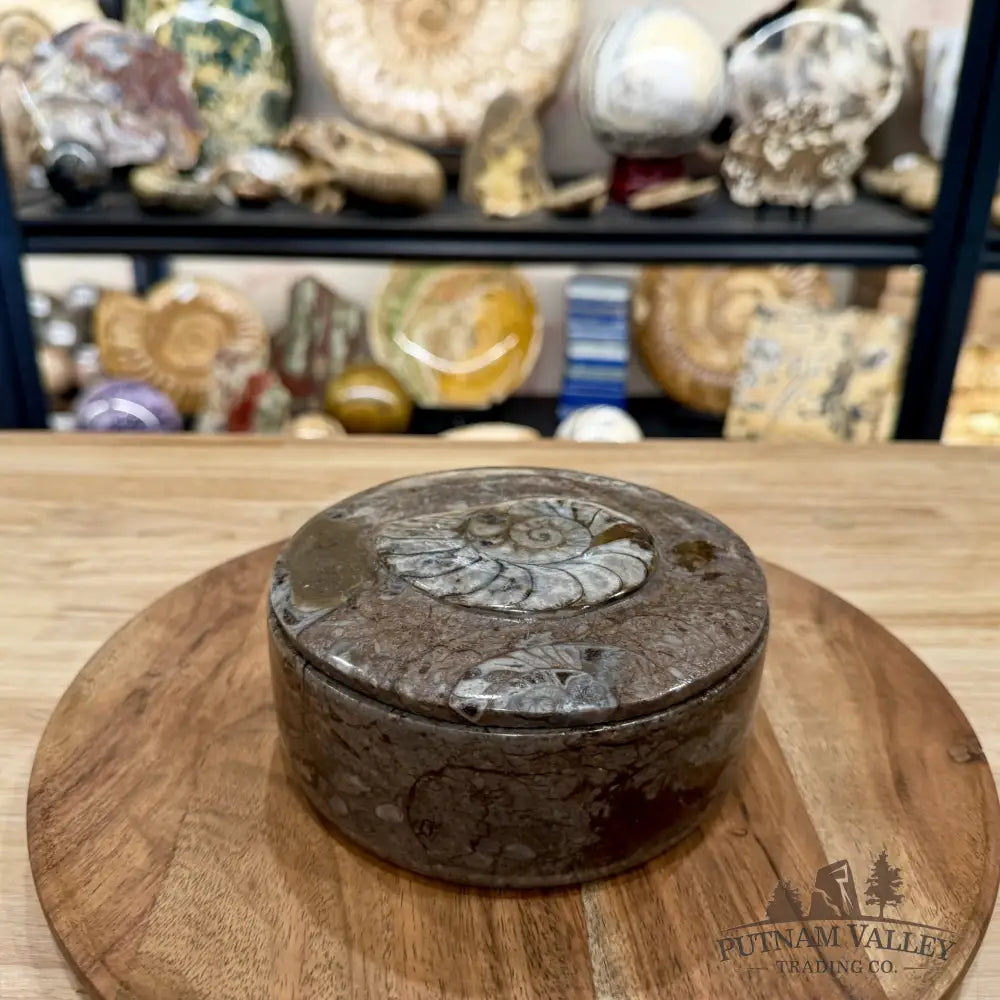 Ammonite & Orthoceras Round Fossil Keepsake Box 5.75’’ | Morocco - Fossil Trinket Box