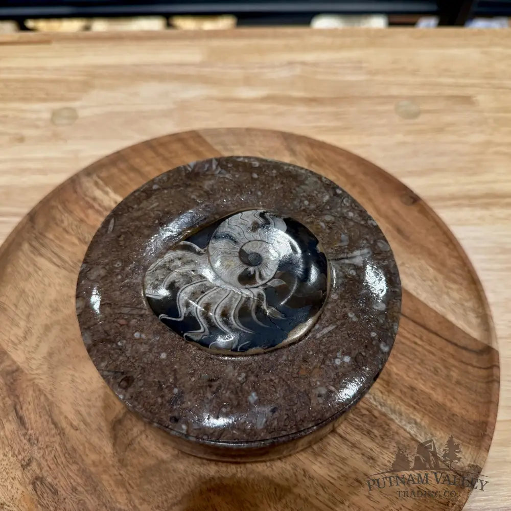 Ammonite & Orthoceras Round Fossil Keepsake Box 5.75’’ | Morocco - Fossil Trinket Box
