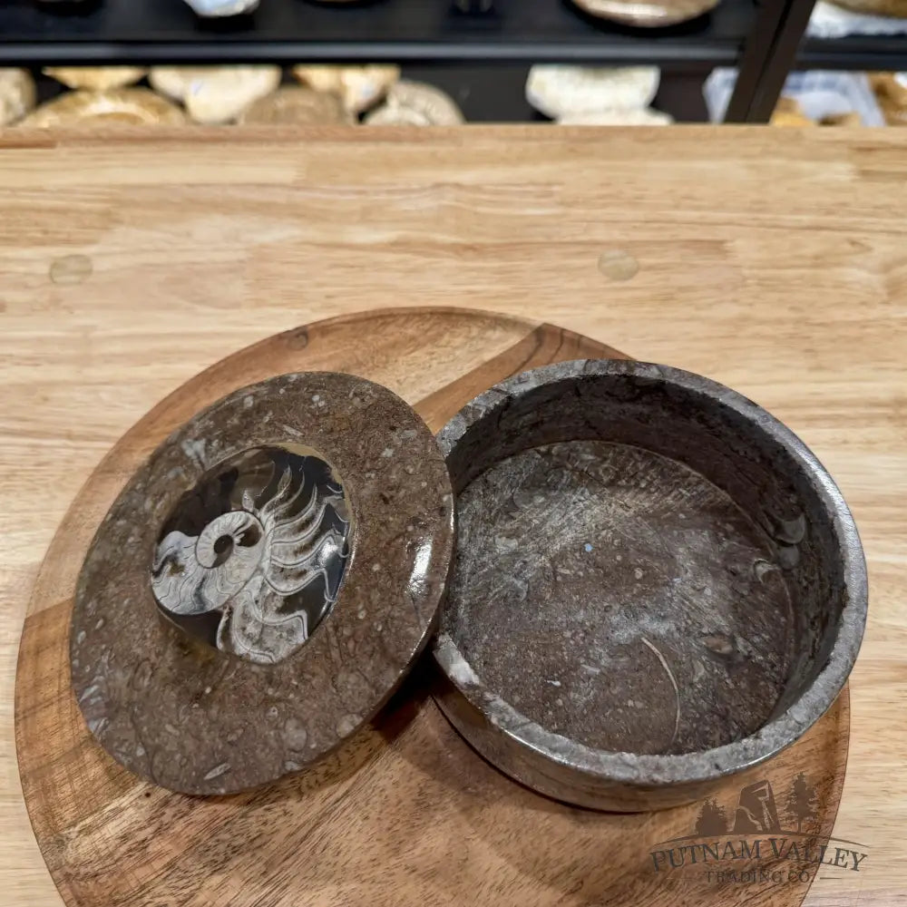Ammonite & Orthoceras Round Fossil Keepsake Box 5.75’’ | Morocco - Fossil Trinket Box
