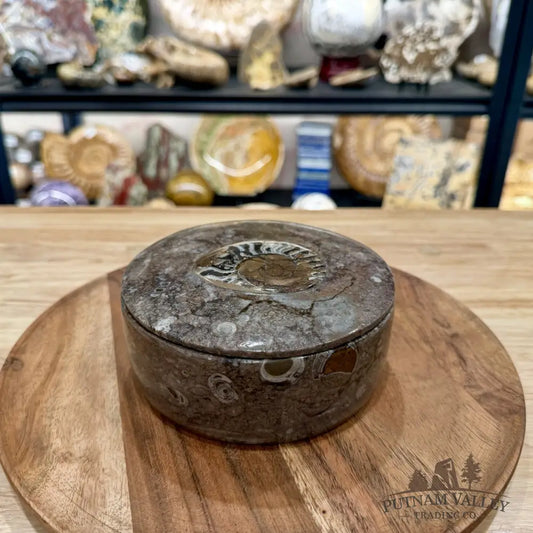 Ammonite & Orthoceras Round Fossil Keepsake Box 5.75’’ | Morocco - Fossil Trinket Box