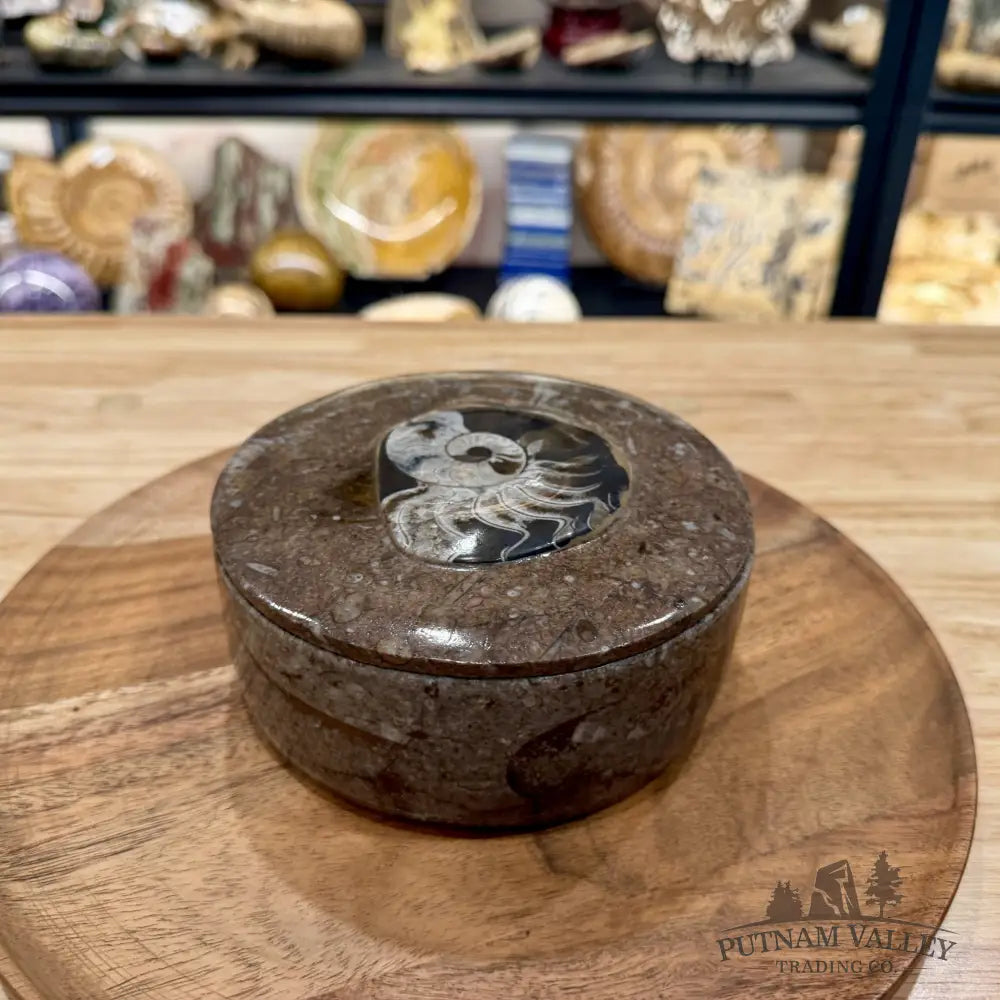 Ammonite & Orthoceras Round Fossil Keepsake Box 5.75’’ | Morocco - Fossil Trinket Box