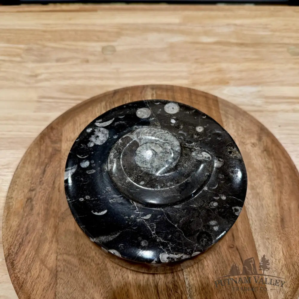 Ammonite & Orthoceras Round Fossil Keepsake Box 5.75’’ | Morocco - Fossil Trinket Box