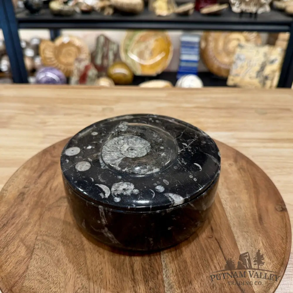 Ammonite & Orthoceras Round Fossil Keepsake Box 5.75’’ | Morocco - Fossil Trinket Box