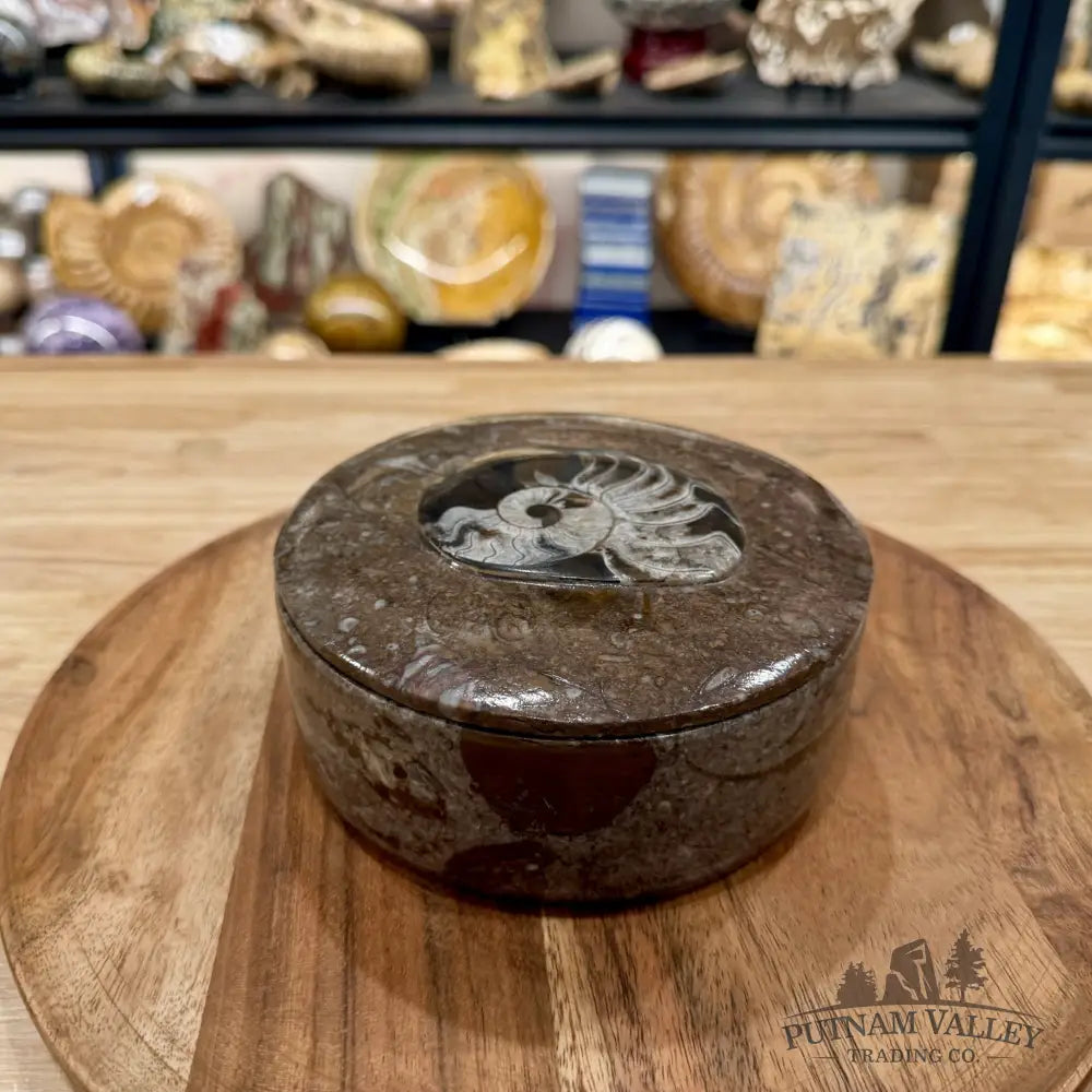 Ammonite & Orthoceras Round Fossil Keepsake Box 5.75’’ | Morocco - Fossil Trinket Box