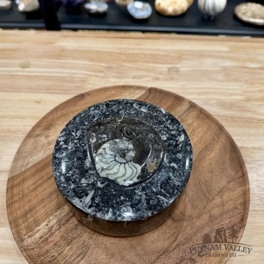 Ammonite & Orthoceras Round Fossil Keepsake Box 5.75’’ | Morocco - Fossil Trinket Box