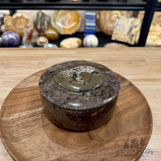 Ammonite & Orthoceras Round Fossil Keepsake Box 5.75’’ | Morocco - Fossil Trinket Box