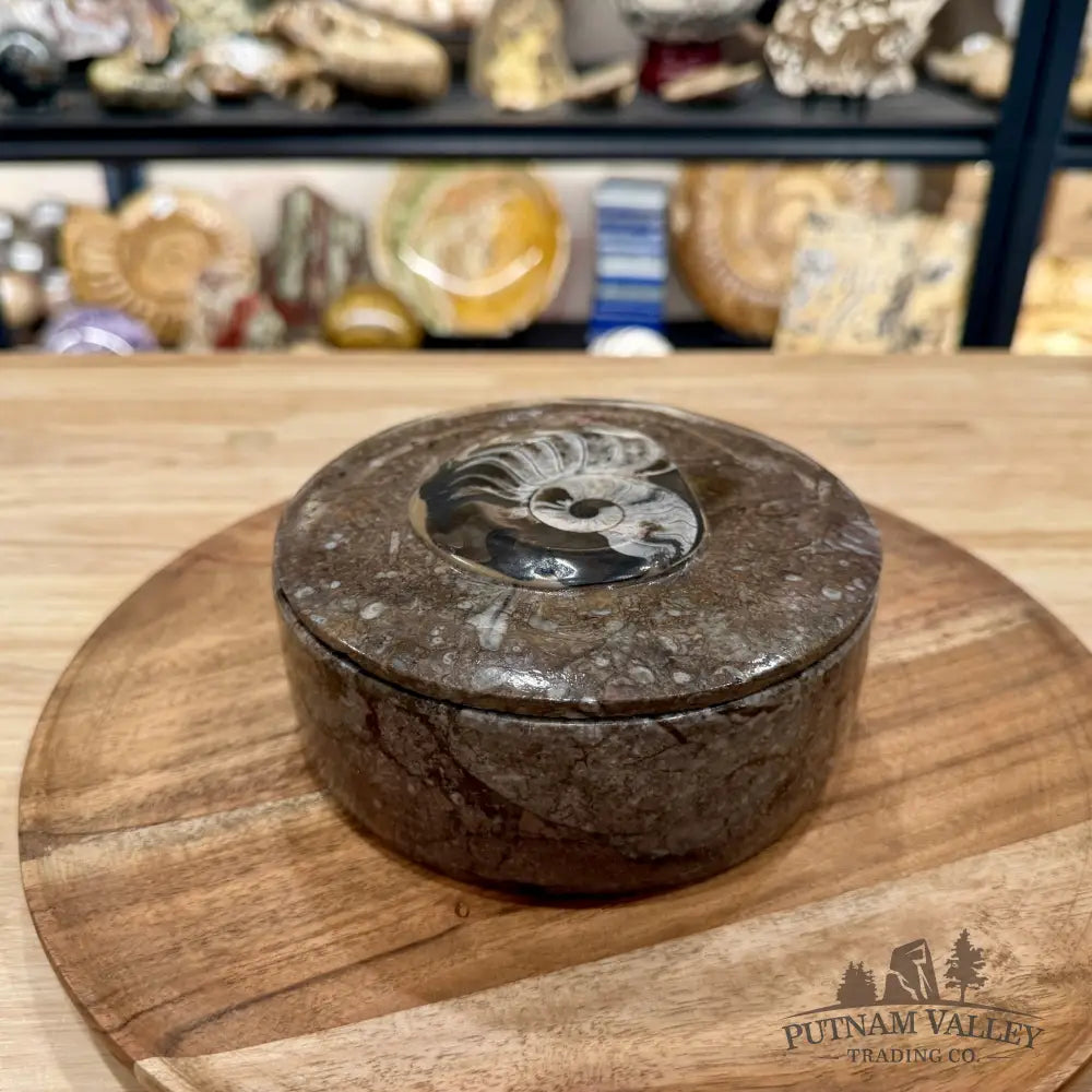 Ammonite & Orthoceras Round Fossil Keepsake Box 5.75’’ | Morocco - Fossil Trinket Box