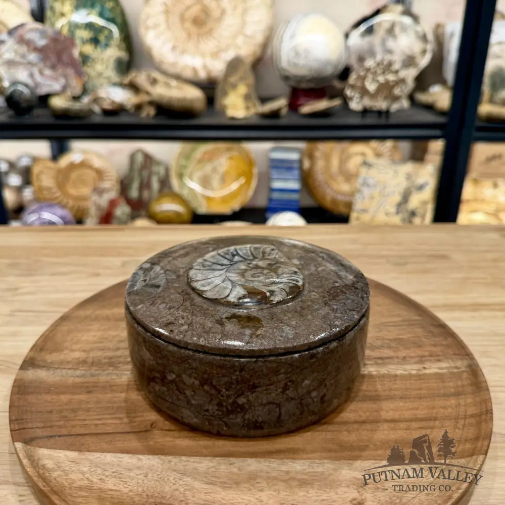 Ammonite & Orthoceras Round Fossil Keepsake Box 5.75’’ | Morocco - Fossil Trinket Box