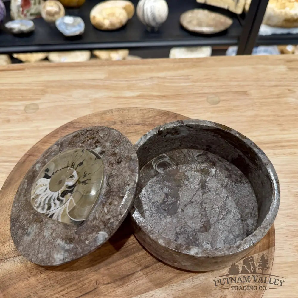 Ammonite & Orthoceras Round Fossil Keepsake Box 5.75’’ | Morocco - Fossil Trinket Box