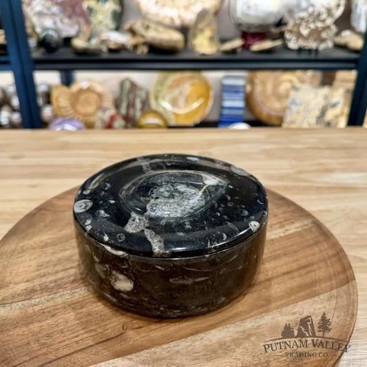 Ammonite & Orthoceras Round Fossil Keepsake Box 5.75’’ | Morocco - Fossil Trinket Box