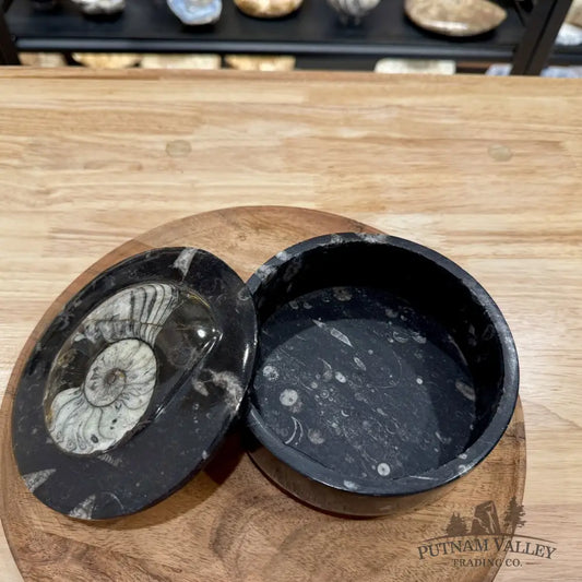 Ammonite & Orthoceras Round Fossil Keepsake Box 5.75’’ | Morocco - Fossil Trinket Box