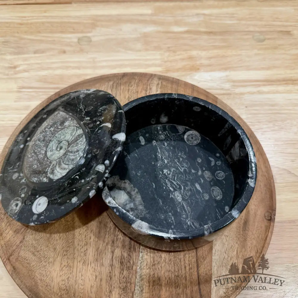 Ammonite & Orthoceras Round Fossil Keepsake Box 5.75’’ | Morocco - Fossil Trinket Box
