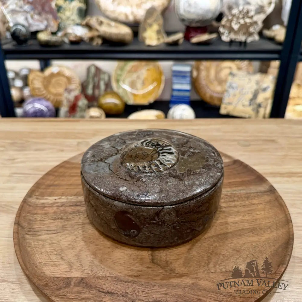 Ammonite & Orthoceras Round Fossil Keepsake Box 5.75’’ | Morocco - Fossil Trinket Box