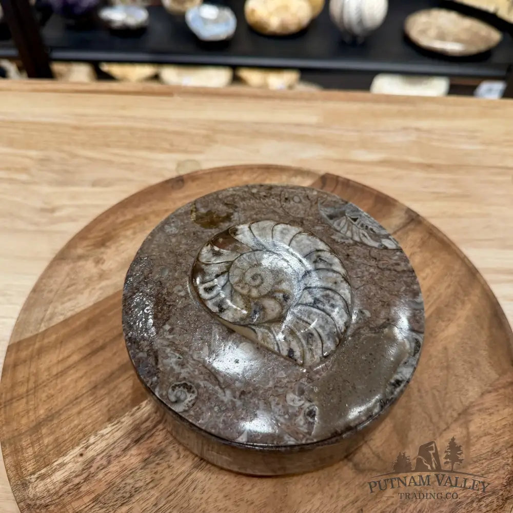 Ammonite & Orthoceras Round Fossil Keepsake Box 5.75’’ | Morocco - Fossil Trinket Box