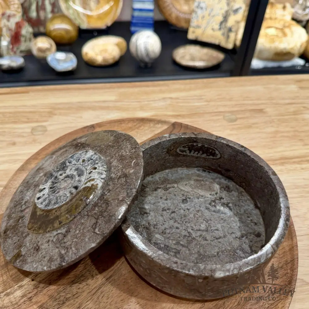 Ammonite & Orthoceras Round Fossil Keepsake Box 5.75’’ | Morocco - Fossil Trinket Box