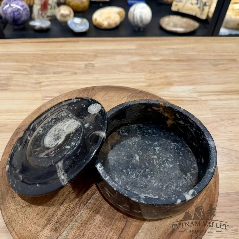 Ammonite & Orthoceras Round Fossil Keepsake Box 5.75’’ | Morocco - Fossil Trinket Box