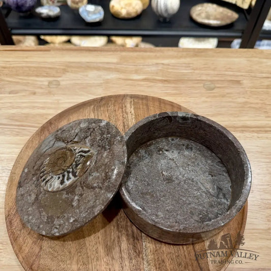 Ammonite & Orthoceras Round Fossil Keepsake Box 5.75’’ | Morocco - Fossil Trinket Box