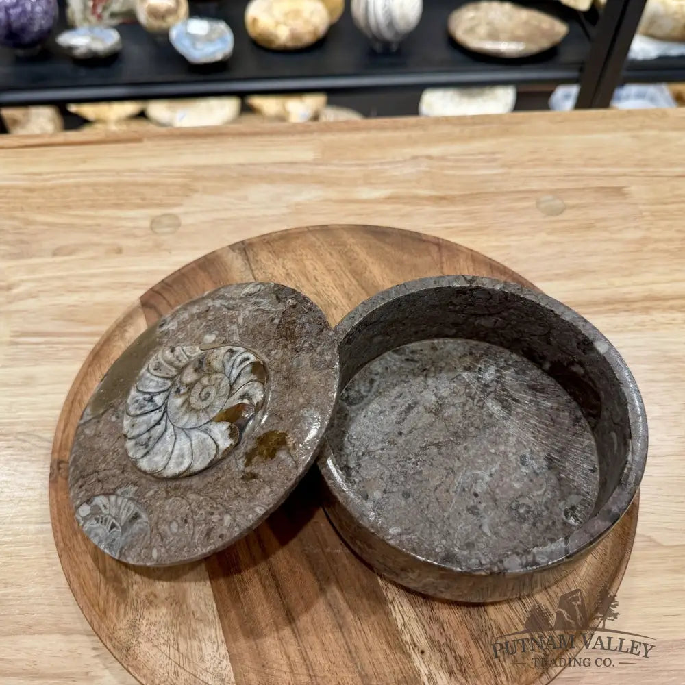 Ammonite & Orthoceras Round Fossil Keepsake Box 5.75’’ | Morocco - Fossil Trinket Box