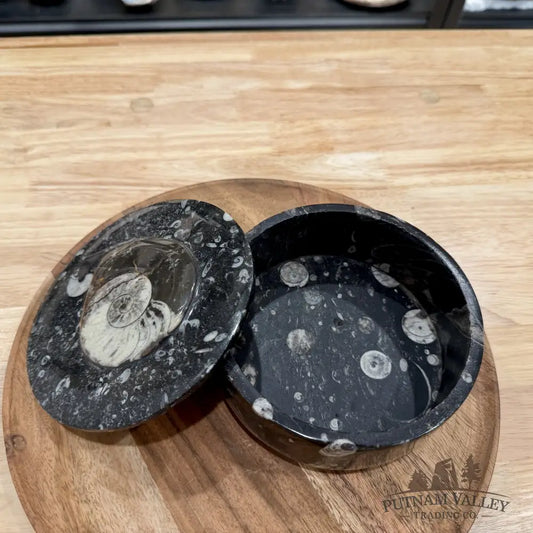 Ammonite & Orthoceras Round Fossil Keepsake Box 5.75’’ | Morocco - Fossil Trinket Box