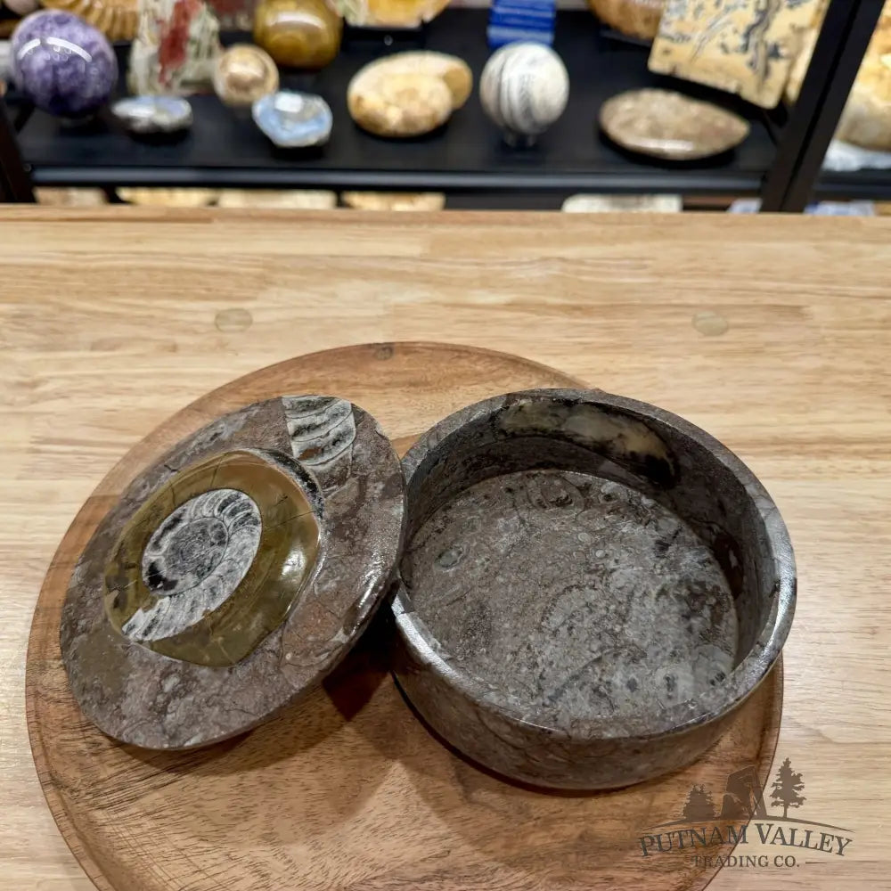 Ammonite & Orthoceras Round Fossil Keepsake Box 5.75’’ | Morocco - Fossil Trinket Box