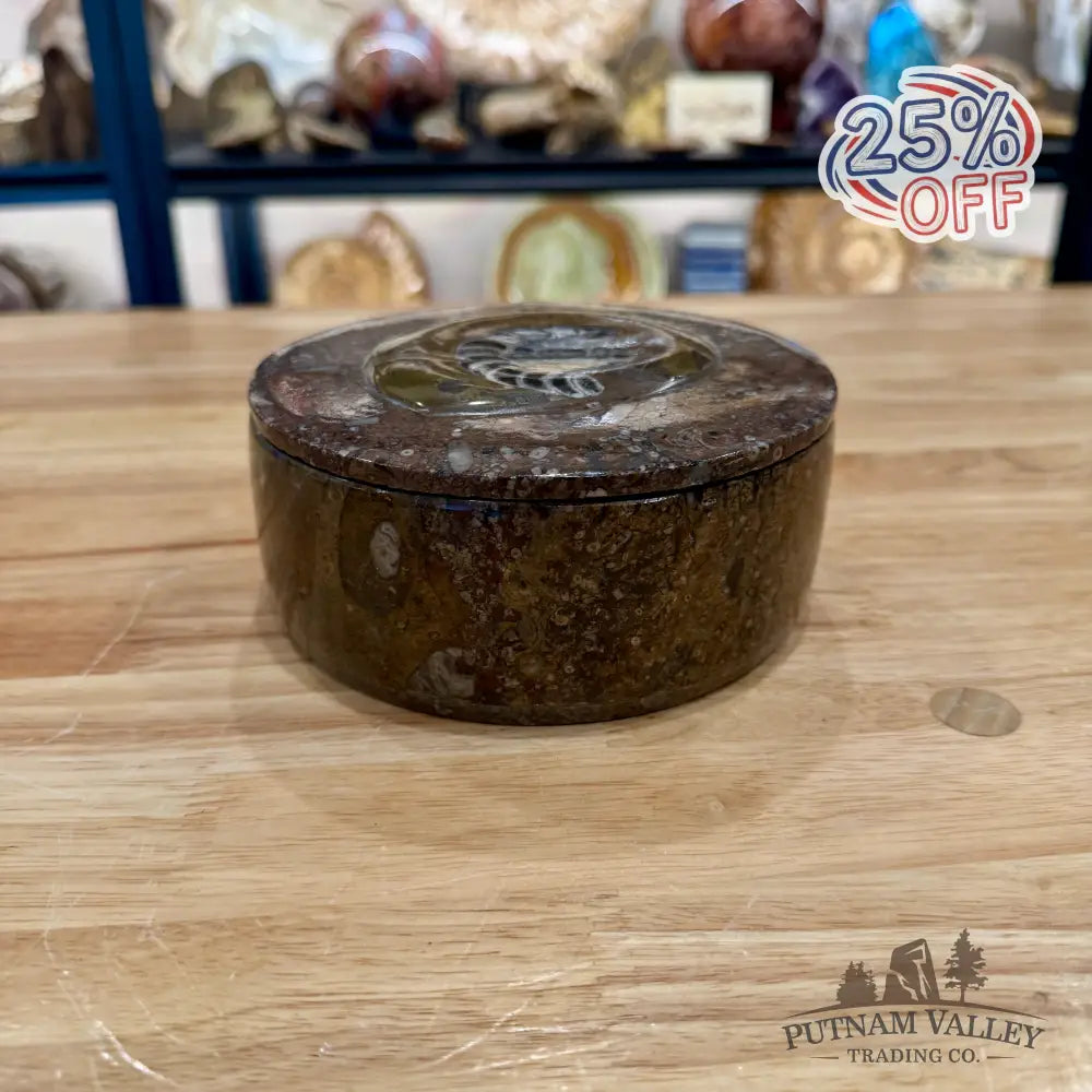 Ammonite & Orthoceras Round Fossil Keepsake Box 5.75’’ - Fossil Trinket Box