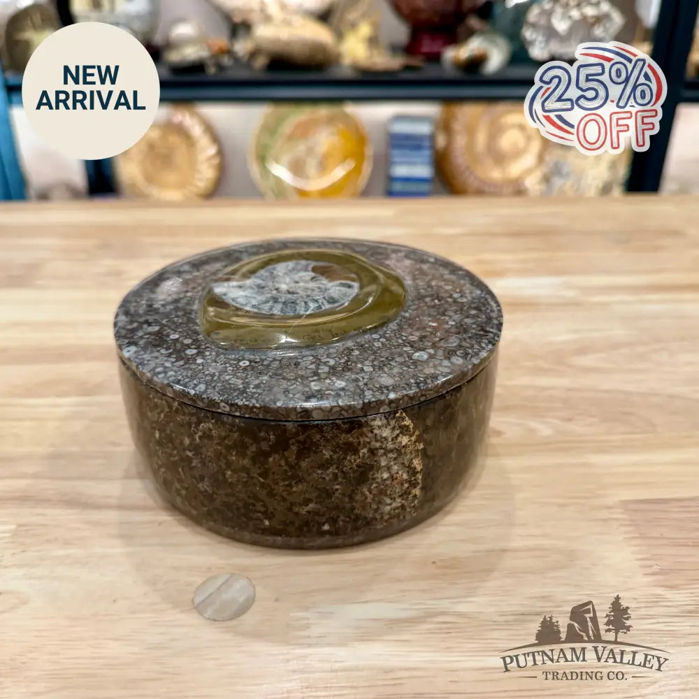 Ammonite & Orthoceras Round Fossil Keepsake Box 5.75’’ - Fossil Trinket Box