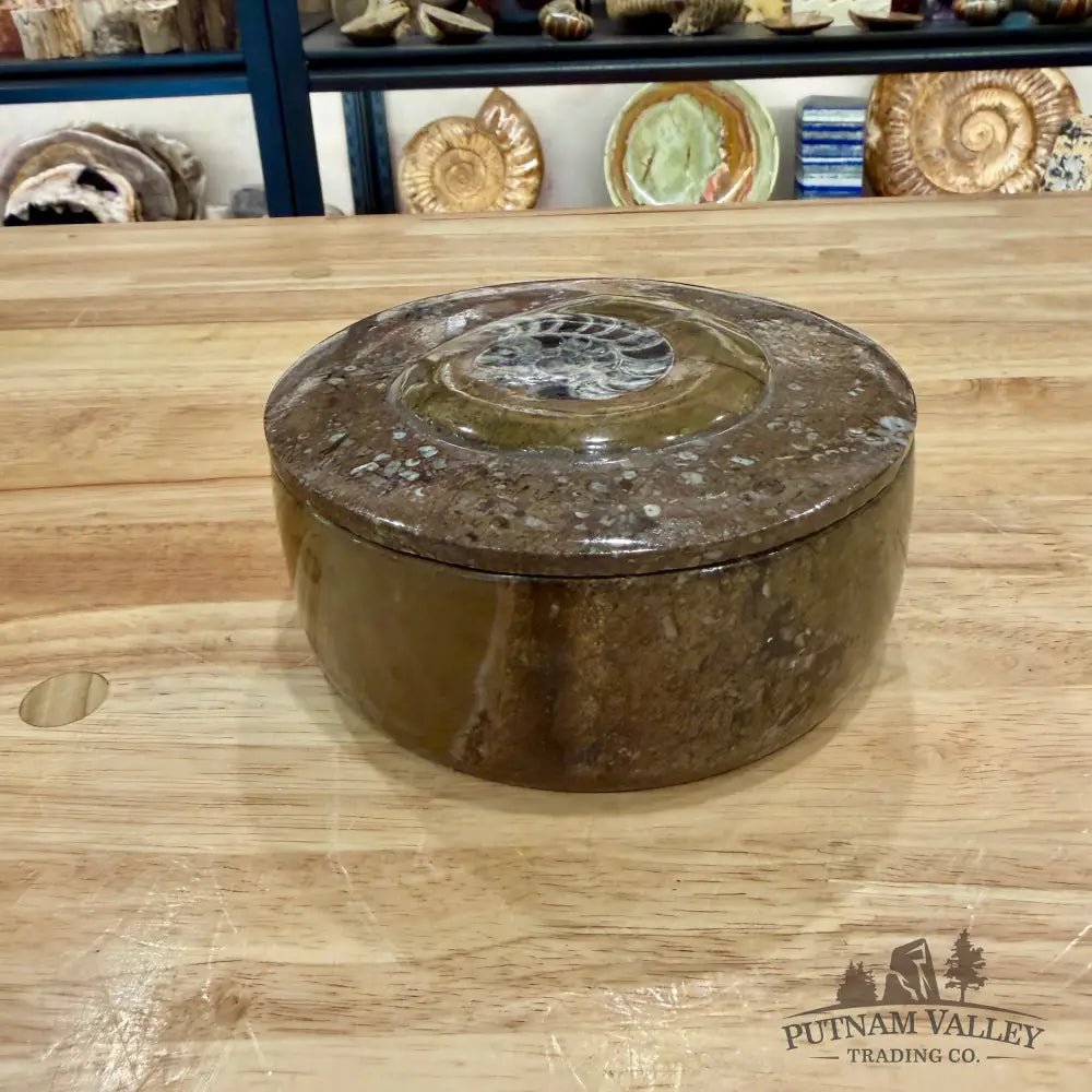 Ammonite & Orthoceras Round Fossil Keepsake Box 5.75’’ - Fossil Trinket Box