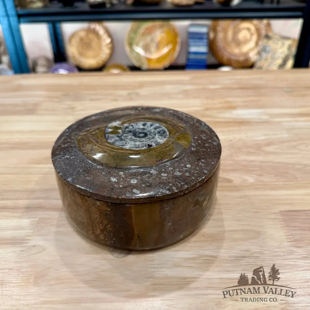Ammonite & Orthoceras Round Fossil Keepsake Box 5.75’’ - Fossil Trinket Box