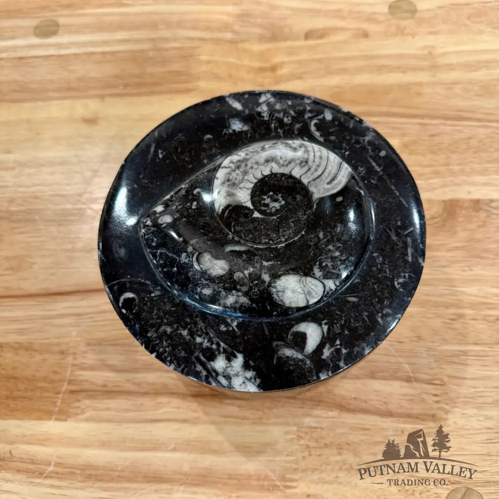 Ammonite & Orthoceras Round Fossil Keepsake Box 5.75’’ - Fossil Trinket Box