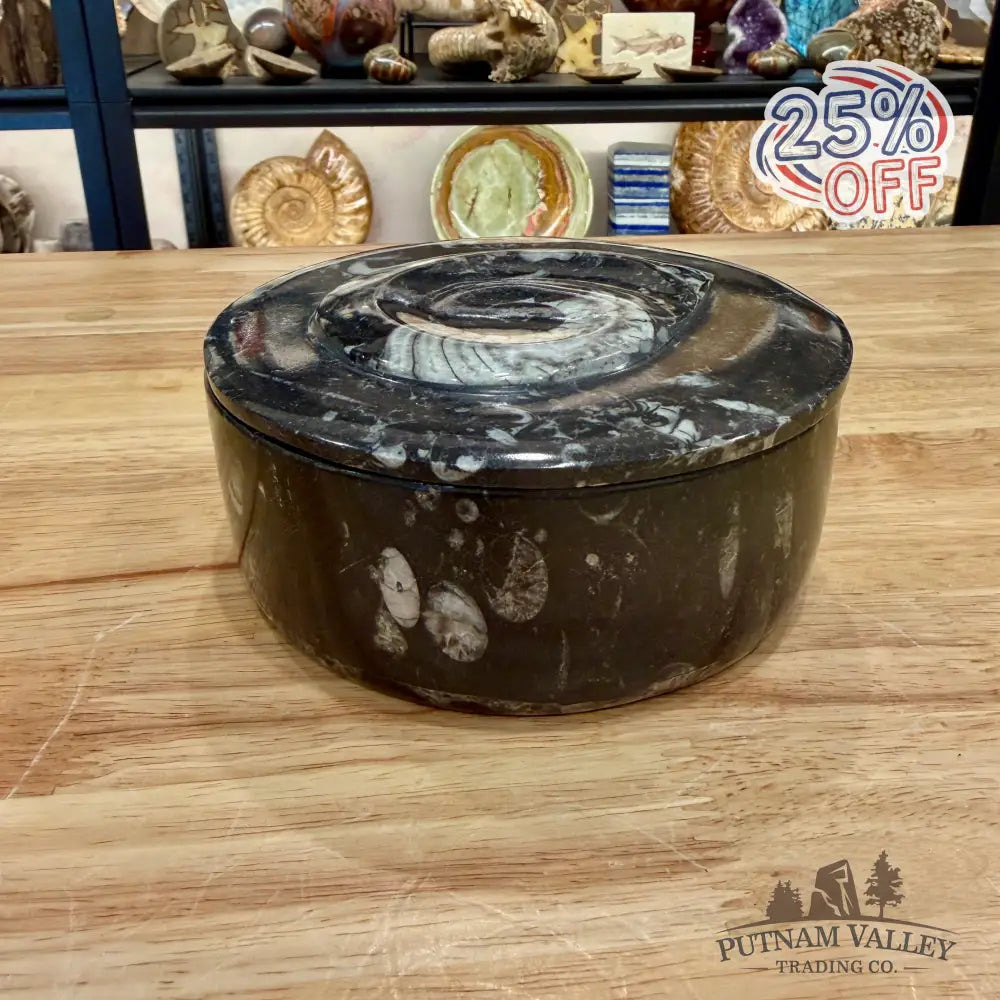 Ammonite & Orthoceras Round Fossil Keepsake Box 5.75’’ - Fossil Trinket Box