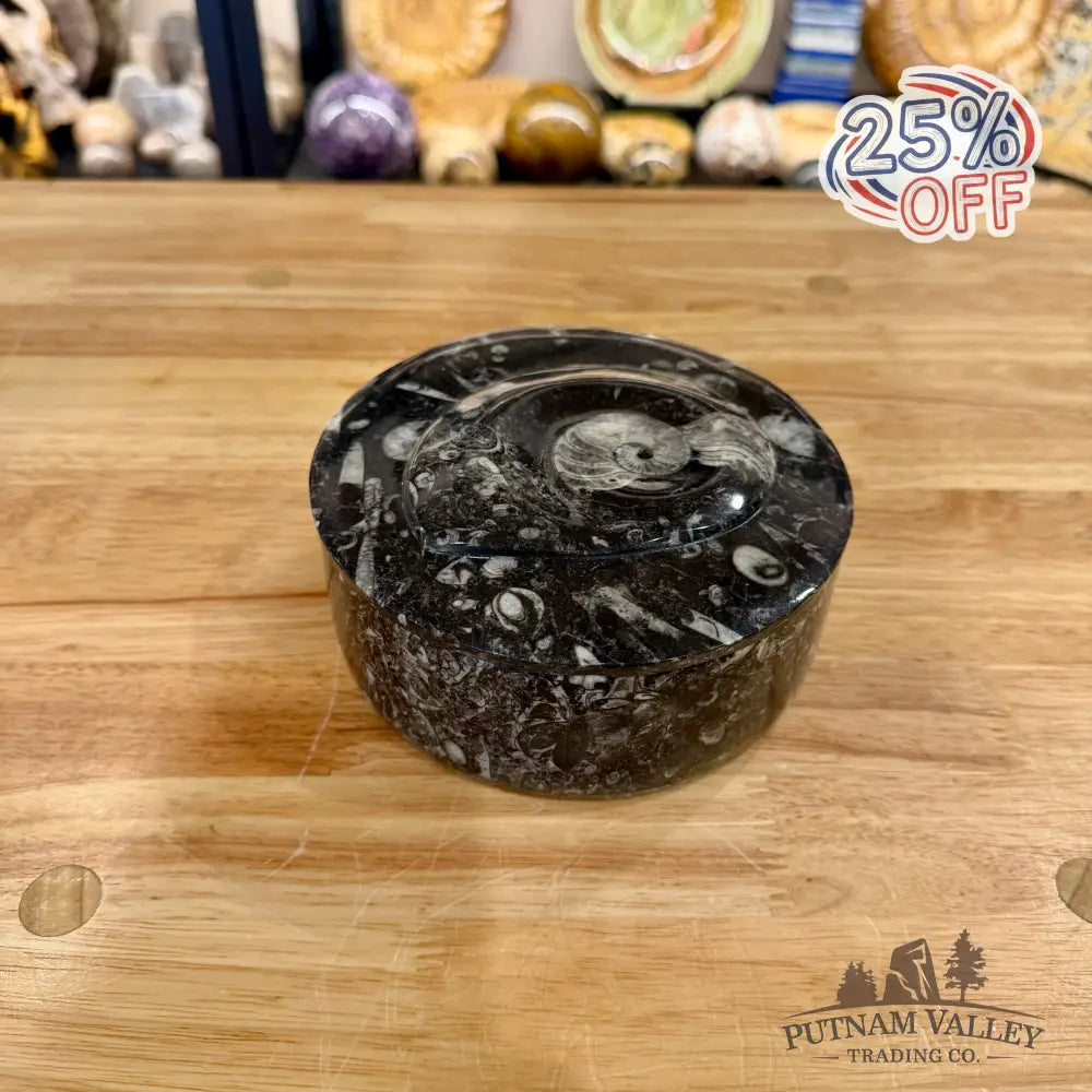 Ammonite & Orthoceras Round Fossil Keepsake Box 5.75’’ - Fossil Trinket Box