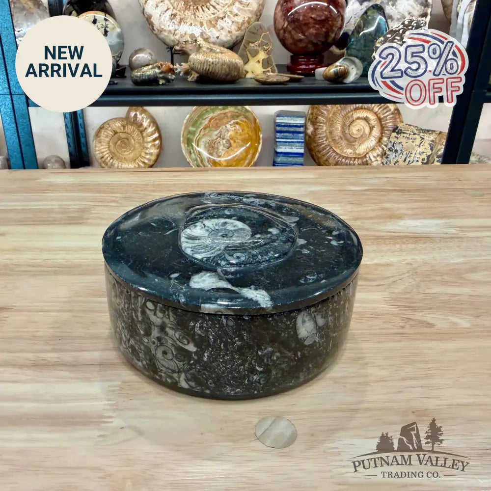 Ammonite & Orthoceras Round Fossil Keepsake Box 5.75’’ - Fossil Trinket Box