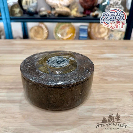 Ammonite & Orthoceras Round Fossil Keepsake Box 5.75’’ - Fossil Trinket Box