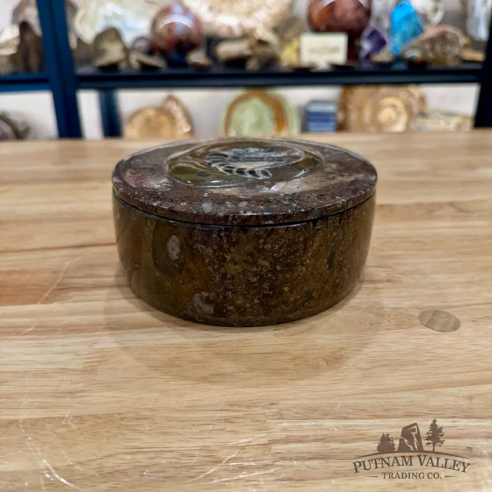 Ammonite & Orthoceras Round Fossil Keepsake Box 5.75’’ - Fossil Trinket Box