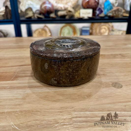 Ammonite & Orthoceras Round Fossil Keepsake Box 5.75’’ - Fossil Trinket Box
