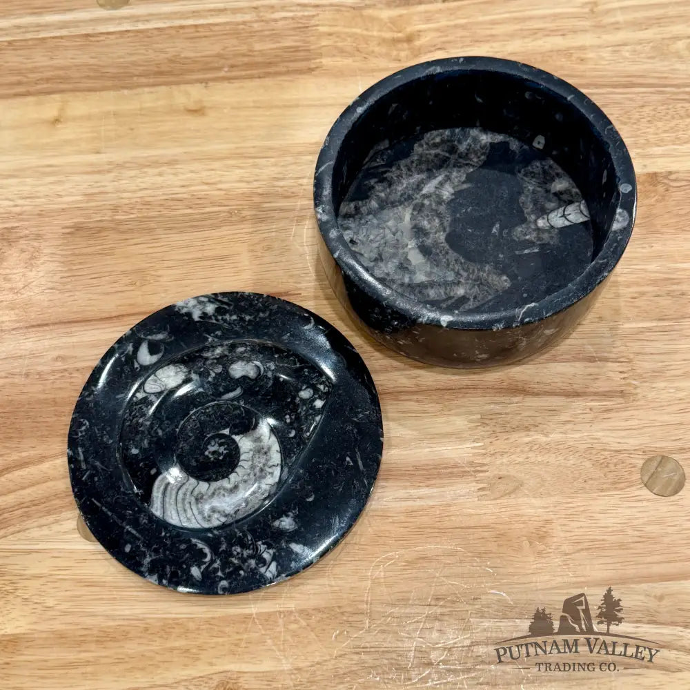 Ammonite & Orthoceras Round Fossil Keepsake Box 5.75’’ - Fossil Trinket Box