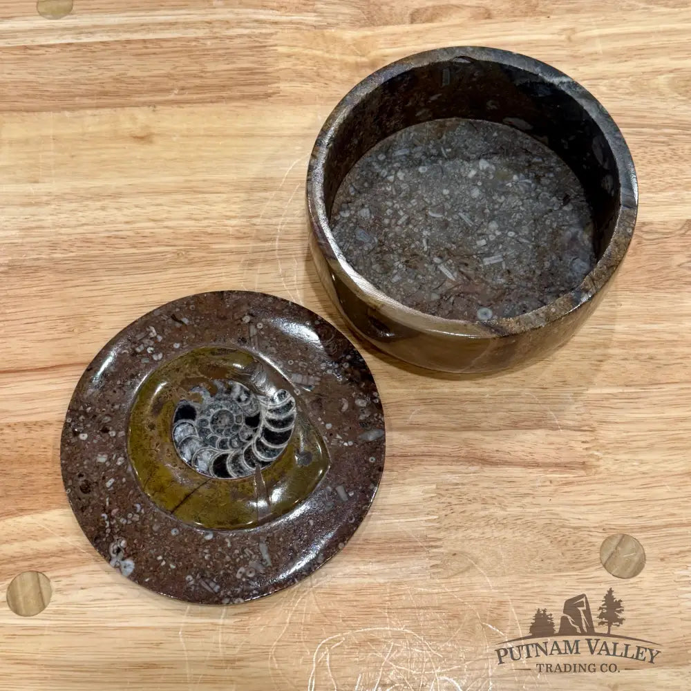 Ammonite & Orthoceras Round Fossil Keepsake Box 5.75’’ - Fossil Trinket Box