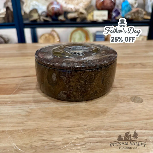 Ammonite & Orthoceras Round Fossil Keepsake Box 5.75’’ - Fossil Trinket Box