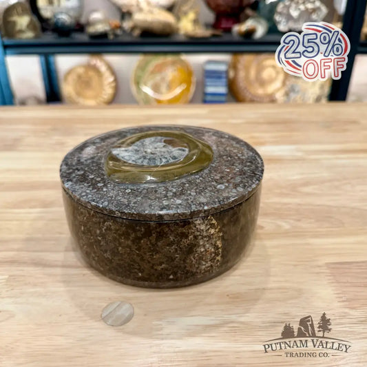 Ammonite & Orthoceras Round Fossil Keepsake Box 5.75’’ - Fossil Trinket Box