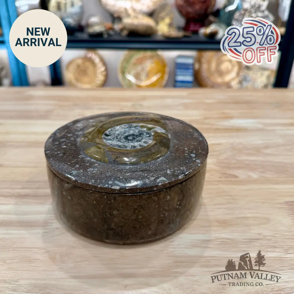 Ammonite & Orthoceras Round Fossil Keepsake Box 5.75’’ - Fossil Trinket Box